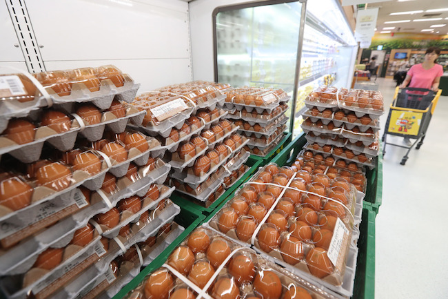 The Ministry of Agriculture, Food and Rural Affairs said Thursday it will step up inspections of the egg industry, from production to distribution, starting next month. (Image: Yonhap)