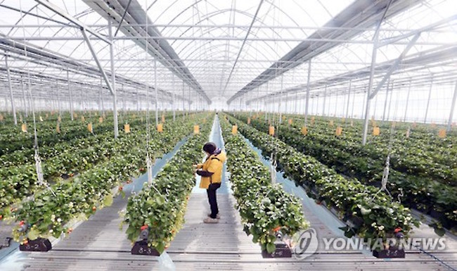 Buyeo County’s “Smart Farms” Catch Visiting Ugandan Minister’s Attention