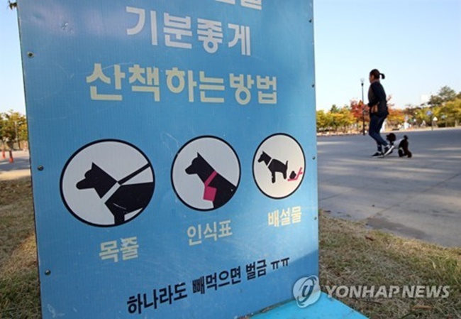 A new companion animal safety law requiring pet owners to keep their dogs on a leash in public amid a spate of vicious dog attacks in recent months is already being questioned over its effectiveness. (Image: Yonhap)