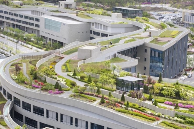 The torch will visit Sejong Special Autonomous City on November 12 and 13, where its course will include the Sejong Government Complex, home to the Guinness World Records-designated largest rooftop garden in the world. (Image: Yonhap)