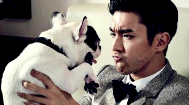 Choi Si-won Excluded from Super Junior’s Comeback Activities Following Pet Dog Scandal