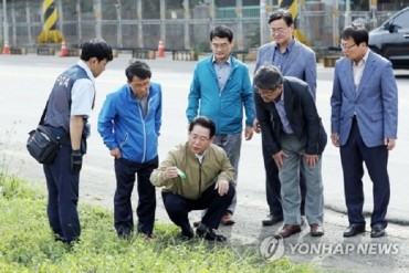 Government Inspecting Busan Sea Port for Fire Ants