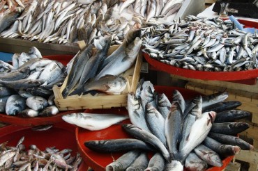 S. Korea to Appeal WTO Ruling on Fukushima Seafood Ban