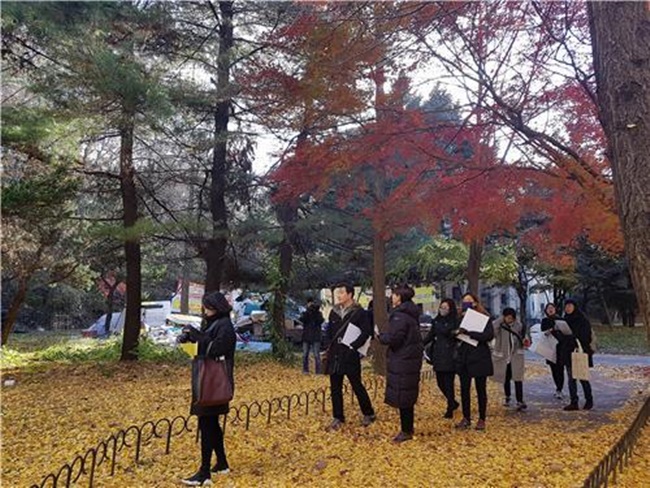 With an increasing number of trees being cut down for redevelopment projects, calls are growing for protective measures. (Image: Yonhap)