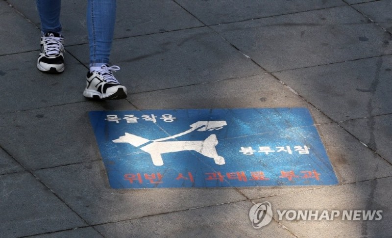 S. Korea Set to Implement Tougher Dog Leash Law