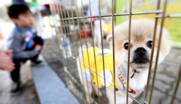 Evacuation Procedures for Pets Insufficient, Say Animal Owners