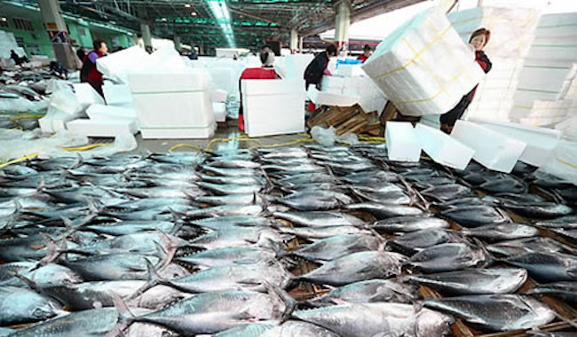 South Korea's premium fisheries export brand, K-Fish, will debut in a trade fair in China as part of an ongoing effort to promote quality products in the vast market, the oceans ministry said Tuesday. (Image: Yonhap)