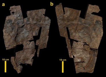 Largest-ever Skin Impression on Dinosaur Footprint Found in S. Korea