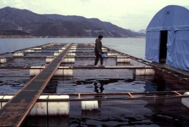 S. Korean Gov’t Sets Out 2018 Plan for Seafood Industry
