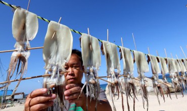 S. Korea’s Squid Catch Falls to Five-Year Low in 2017