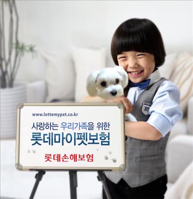 These specialized firms run the gamut from pet and child insurance SMEs and online firms to dementia, will and real estate trusts. (Image: Yonhap)