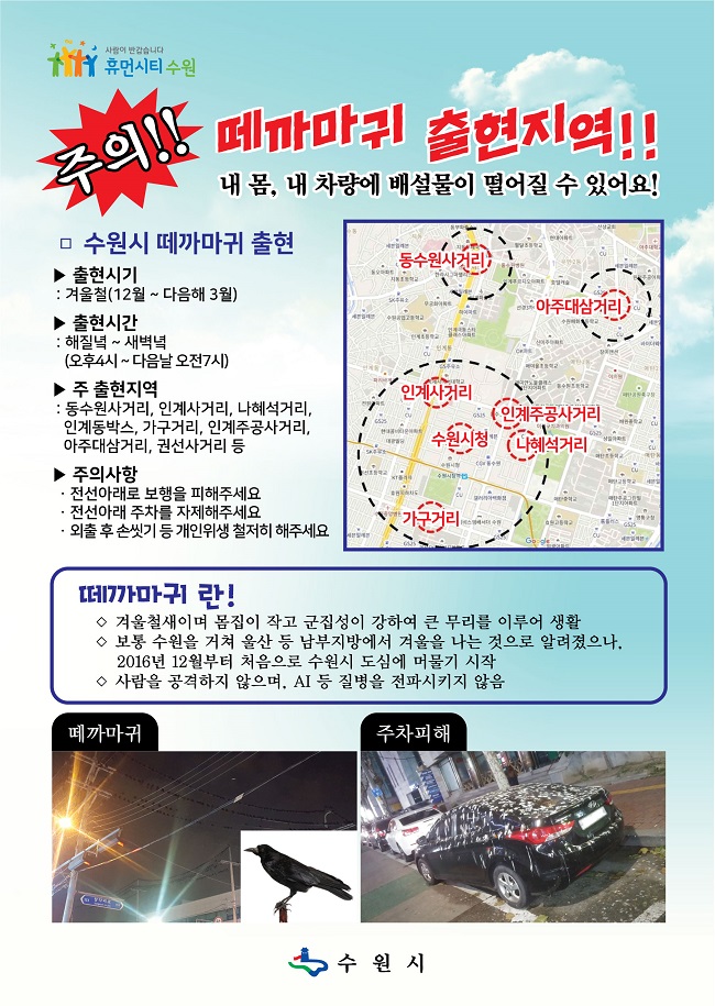 An official with the Suwon city government said the social media campaign can be seen as an information gathering measure for the authorities to preempt the movements of the impending influx of rooks. (Image: Suwon)