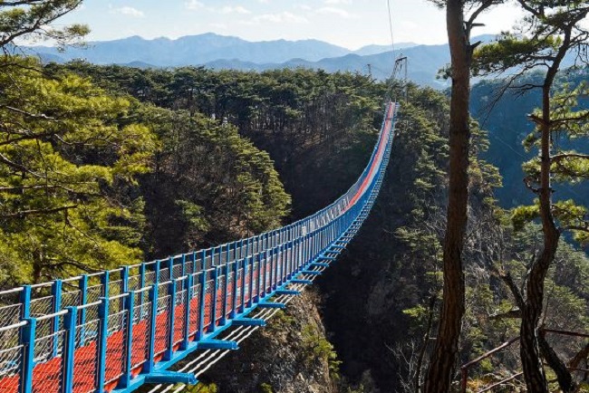 A 200m long, 1.5m wide walking suspension bridge, the largest in the country, has been completed and is open for daredevils starting January 11. (Image: Wonju)