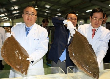 S. Korean “King Flounder” Aquafarming Heats Up