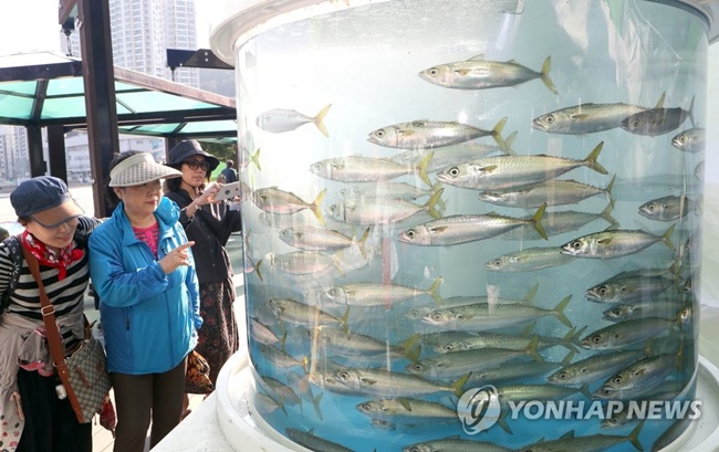 South Koreans on average had a shallow understanding of the sea, however, according to the survey, as the findings called for more education and efforts to raise awareness of the marine environment. (Image: Yonhap)
