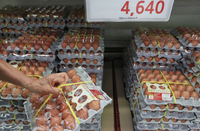 The producer identification number must be stamped onto eggs starting April 25, the breeding environment number on August 23, and the laying date on February 23. (Image: Yonhap)