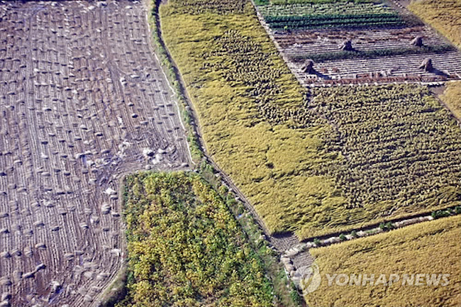 South Korea's arable land shrank in 2017 from a year earlier as some rice paddies and fields were converted into residential houses or public facilities, data showed Monday. (Image: Yonhap)