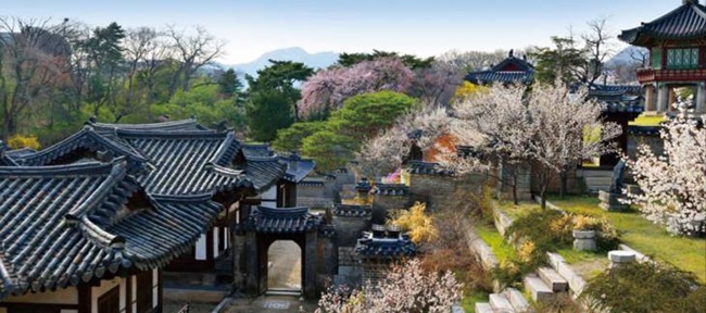 On this rare occasion, visitors to Changdeokgung Palace will be able to enter the back garden of Nakseonjae where spring flowers will present a striking view. (Image: Yonhap)