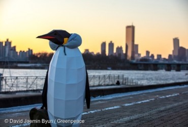 Model Penguins Appear Around Seoul to Raise Awareness of Climate Change