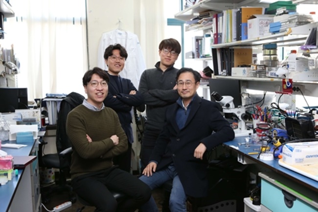 Researchers at the Korea Advanced Institute of Science and Technology have discovered a part of the brain that triggers the ‘desire to possess’. (Image: KAIST)