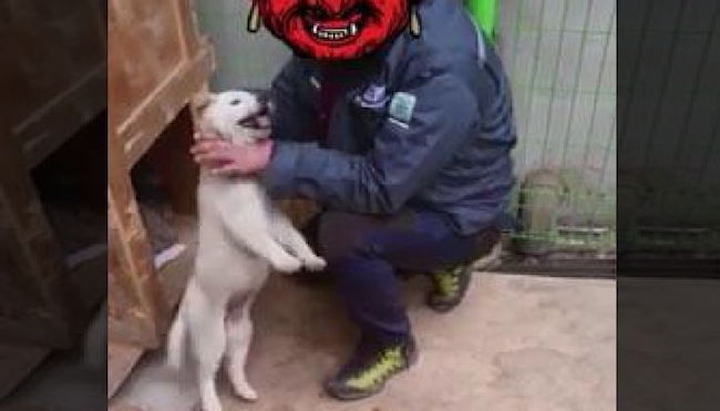 A shot of a man choking a dog that went viral on South Korea's SNS ecosystem. The man's face is covered with an image. (Image: Yonhap)
