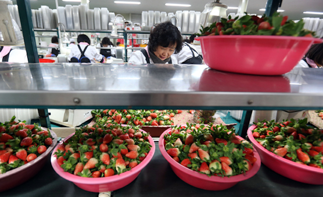 South Korea exported $1.22 billion worth of agricultural and livestock products to 10 ASEAN member states in 2017, up 9.9 percent from a year earlier, the Korea Rural Economic Institute said. (Image: Yonhap)