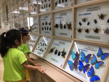 Insect Industry Growing Wings in South Korea