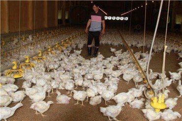 Unmanned Chicken Farms in the Works