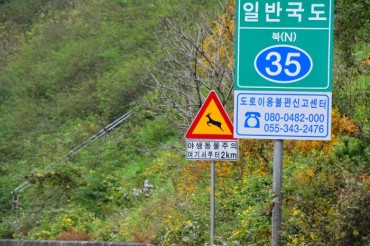 Fewer Roadkill Accidents on Korean Highways