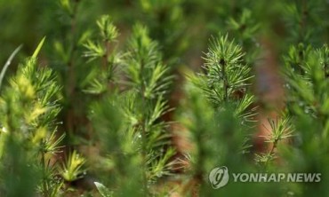 Yuhan-Kimberly Prepares for Possible Forestation Project in N. Korea