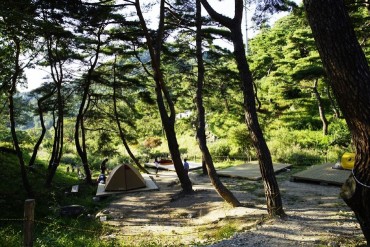 Avid Campers Flock to Jecheon