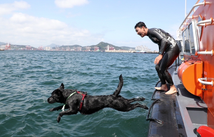 Seafaring Pooch Set to Become Korea’s First Maritime Rescue Dog