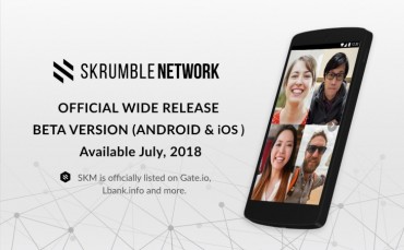 Skrumble Network Using Blockchain Technology to Solve the Data Crisis