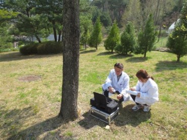 Chuncheon ‘Tree Doctors’ Help with Diseases, Pests