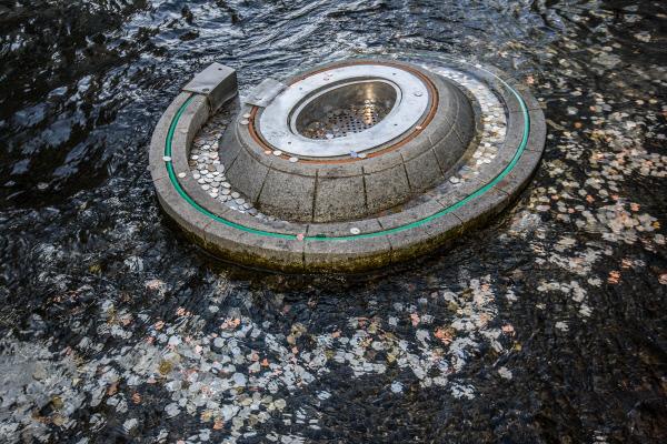 Coins in Wishing Well Fountain to Be Used as Scholarship Fund