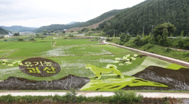 “Golden Dog” in Rice Paddy Artwork in the Making