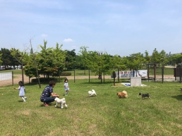 Masterplan to Make Jeonju an Animal-friendly City Complete