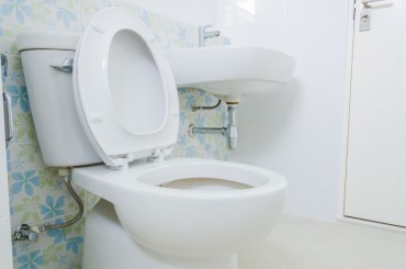 Married Population Dislikes Cleaning Toilets the Most: Survey