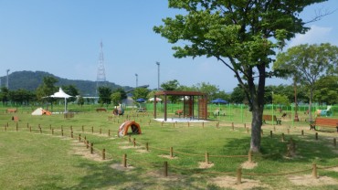 Busan Building a Playground for Pets