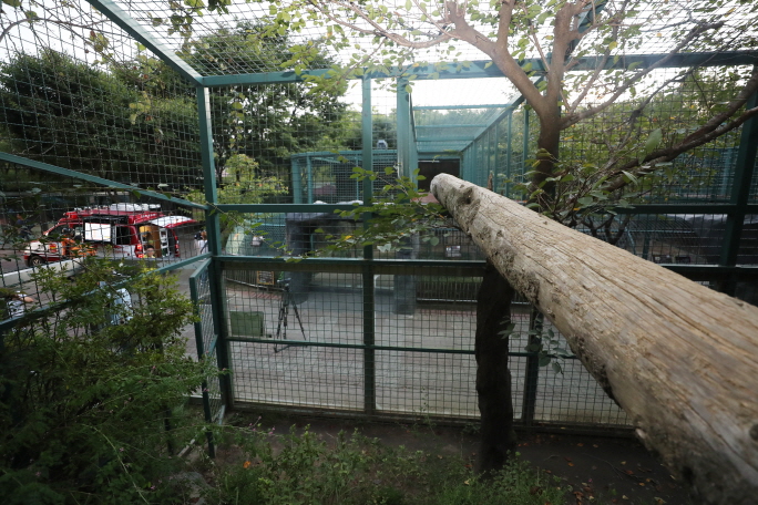 On the Blue House’s website, over 50 petitions had been registered by yesterday, calling for the punishment of zoo personnel who were responsible for allowing the escape to happen. (image: Yonhap)