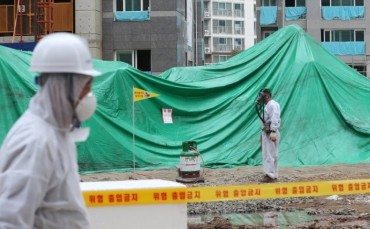 Red Ant Infestation Interrupts Construction Work in Daegu