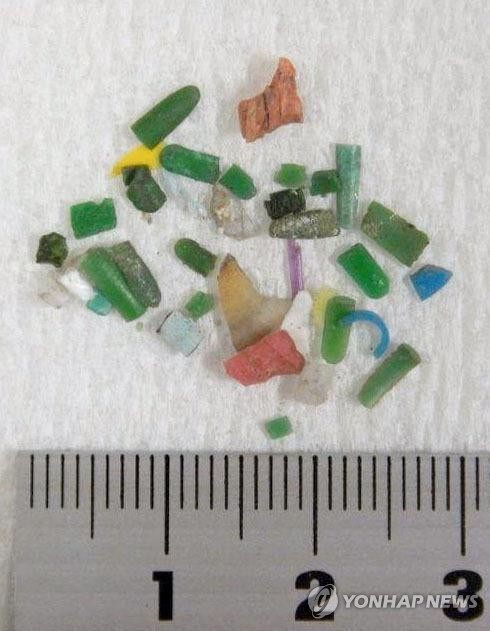 Microplastics collected across from Tokyo Bay (Image courtesy of Yonhap/Kyodo)