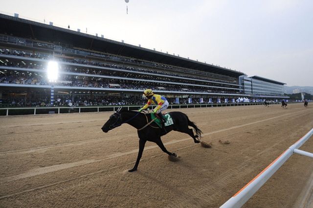 98 Family Members of Korea Racing Authority Relatives Given Full-Time Positions