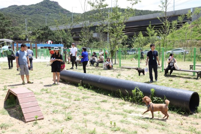 Cheongju Dog Park to Open Next Summer