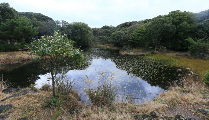 A wetland around Monmulkak, Dongbaek Village. (image: Yonhap)