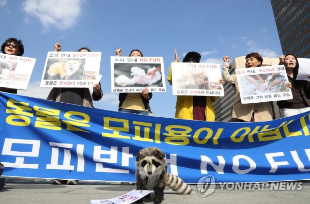 The activists said that over 100 million animals met their deaths due to the desires of modern consumers. (image: Yonhap)