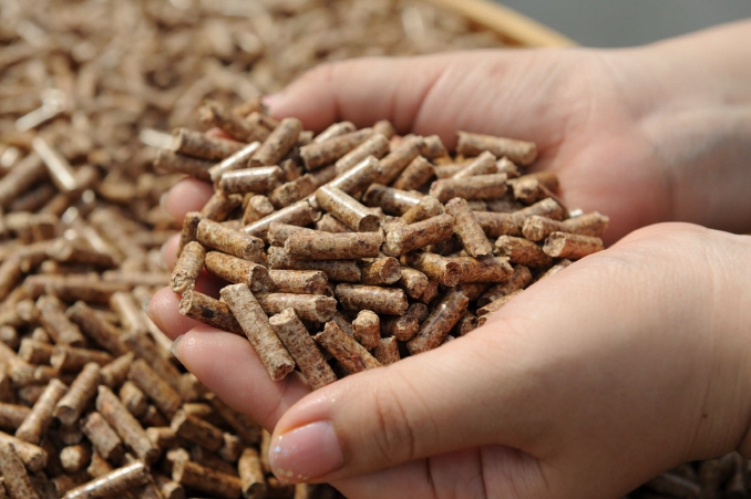 South Korea has been increasingly dependent on imported wood pellets. (image: Korea Forest Service)