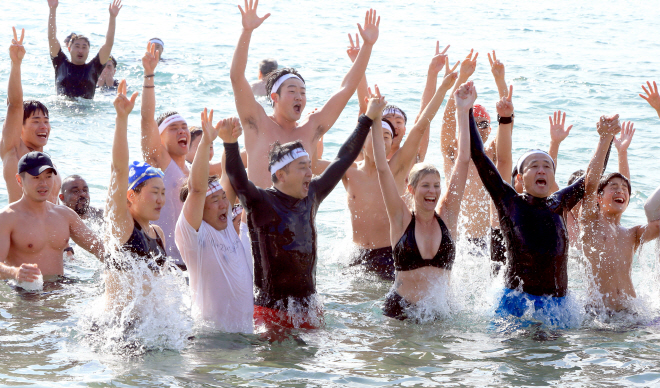Seogwipo Penguin Swimming Competition Rings in the New Year