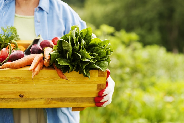 City Dwellers Find Success as Farmers After Returning to the Countryside