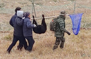 Marine Corps Tasked with Capturing Black Goats